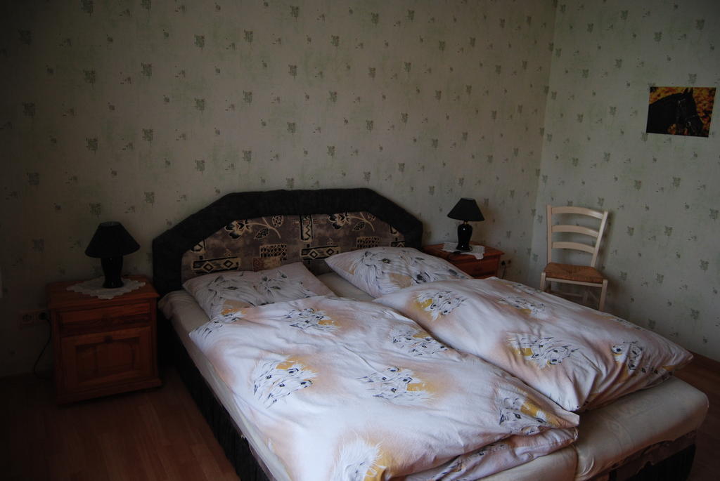 Gut Dankerode Apartment Room photo